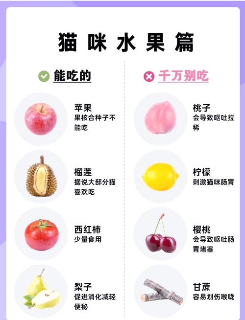 猫最爱吃的10种水果是什么?