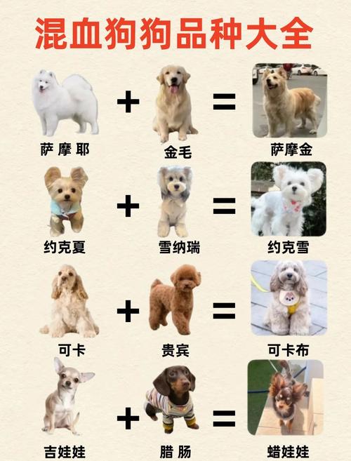 什么是串串狗?