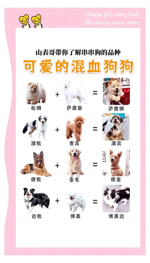 串串狗的特点