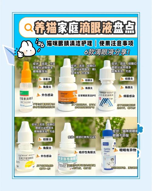 宠物滴眼液哪个牌子好?