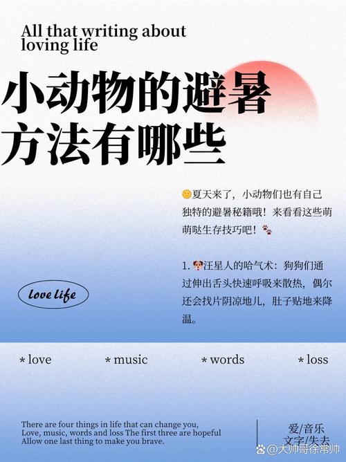 各种小动物的避暑方法