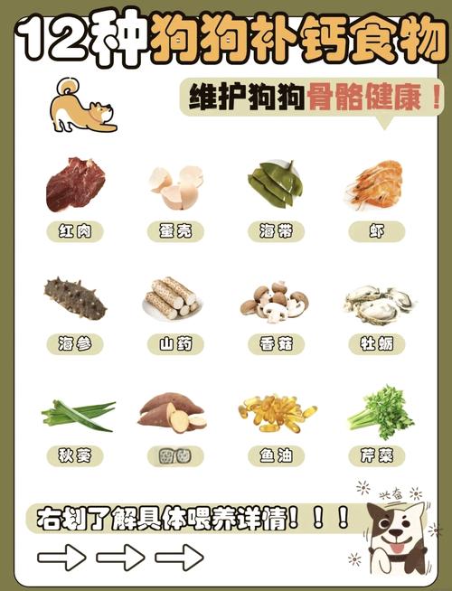 喂狗吃什么补钙
