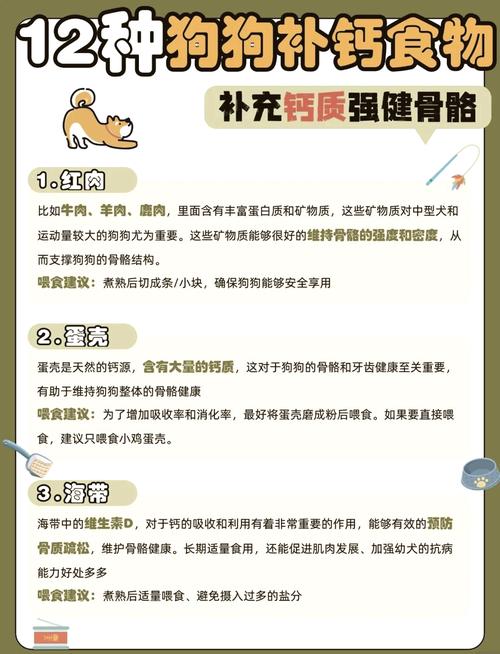 德牧吃什么食物补钙