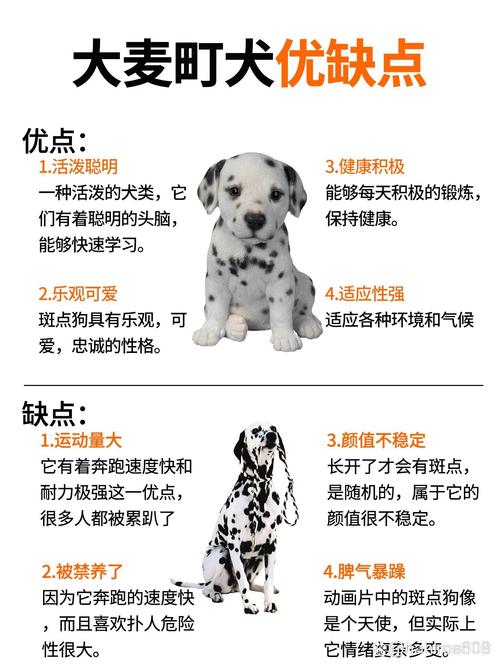 斑点狗有什么特点
