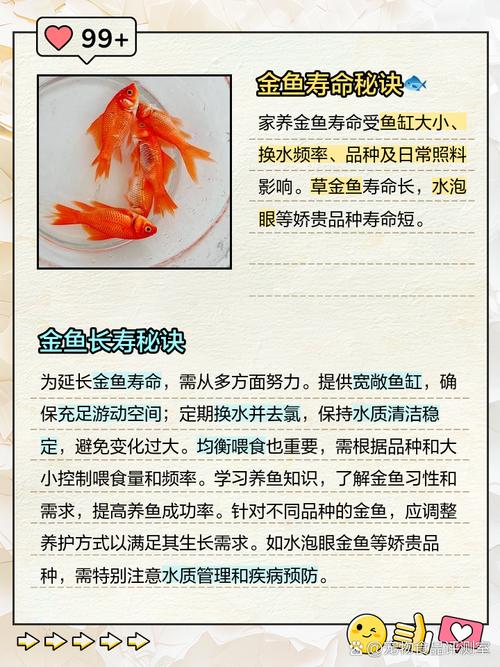 10厘米的金鱼几岁了？10厘米的金鱼怎么喂养？