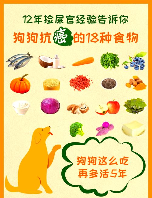 狗狗可以吃八宝粥吗