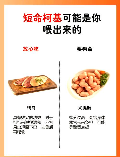 狗狗能吃八宝粥吗