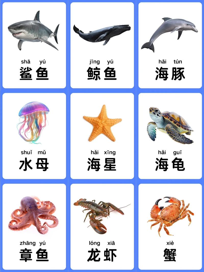海洋馆100种动物名字有哪些?