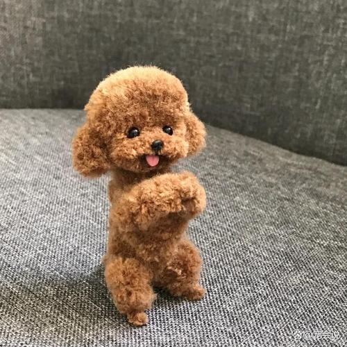 狗狗39.4算发烧吗，狗狗395算发烧吗