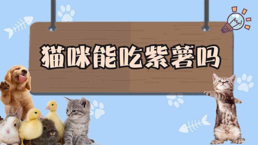 猫咪吃紫薯会有哪些好处?