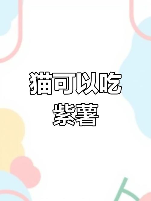 猫可以吃紫薯吗