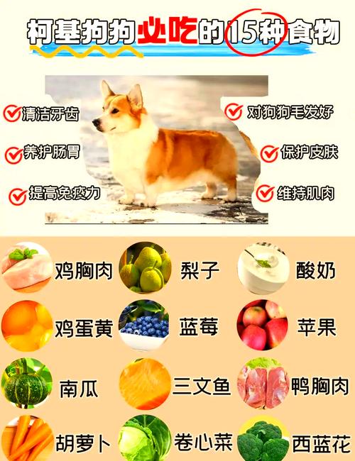 狗狗半个月了应该吃什么