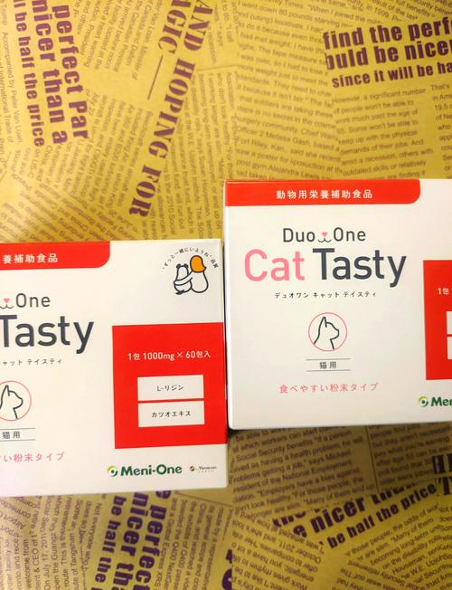 猫感冒用什么药好?