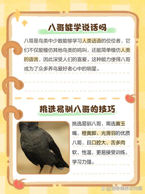 八哥学说话教材古诗