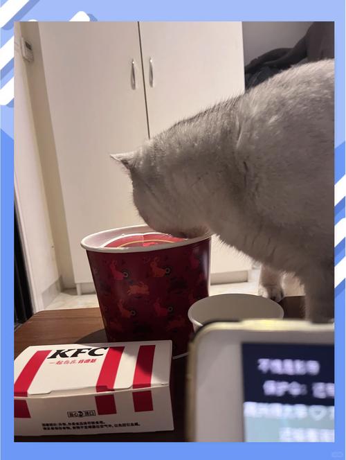 猫吃纸巾怎么回事