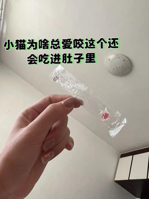 猫咪吃了塑料包装纸怎么办?