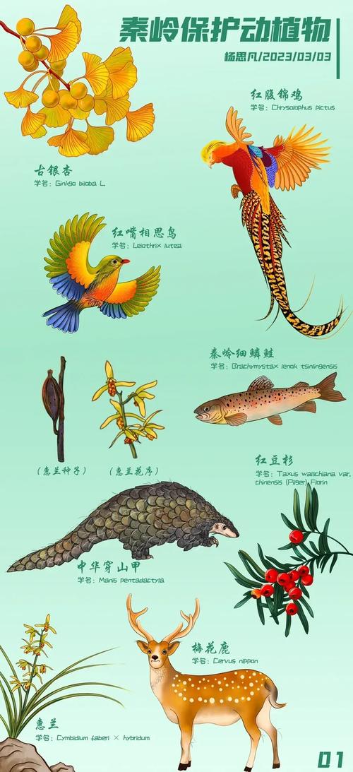 珍稀动物有哪些
