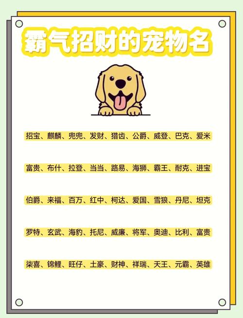 狗狗财运旺的名字大全