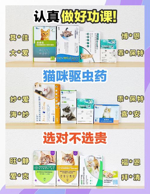 猫咪驱虫的药怎么给猫咪吃?