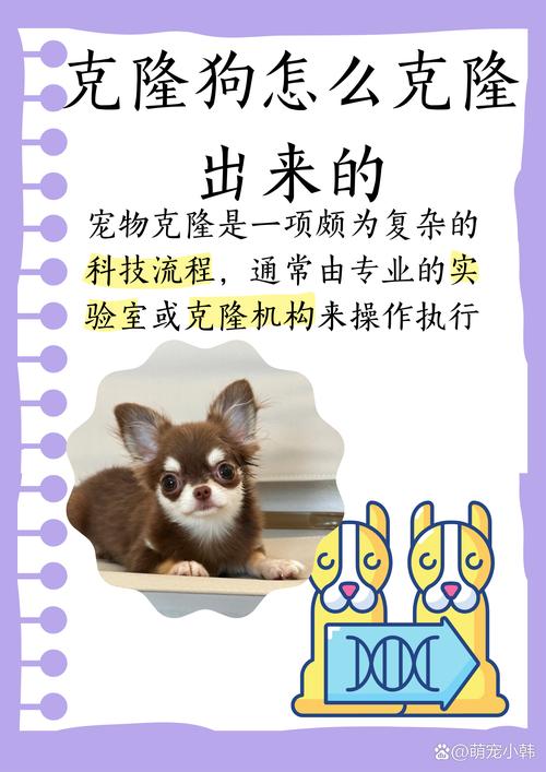 布丁狗的生日是什么时候?