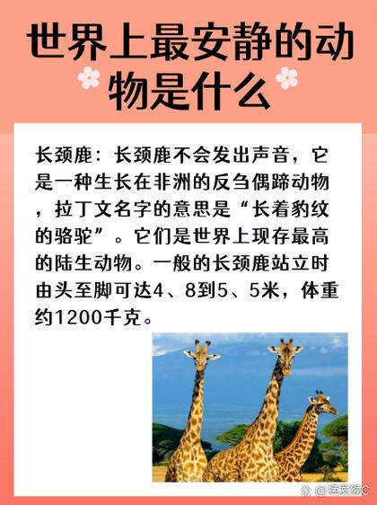 狗狗身上起癣怎么办？