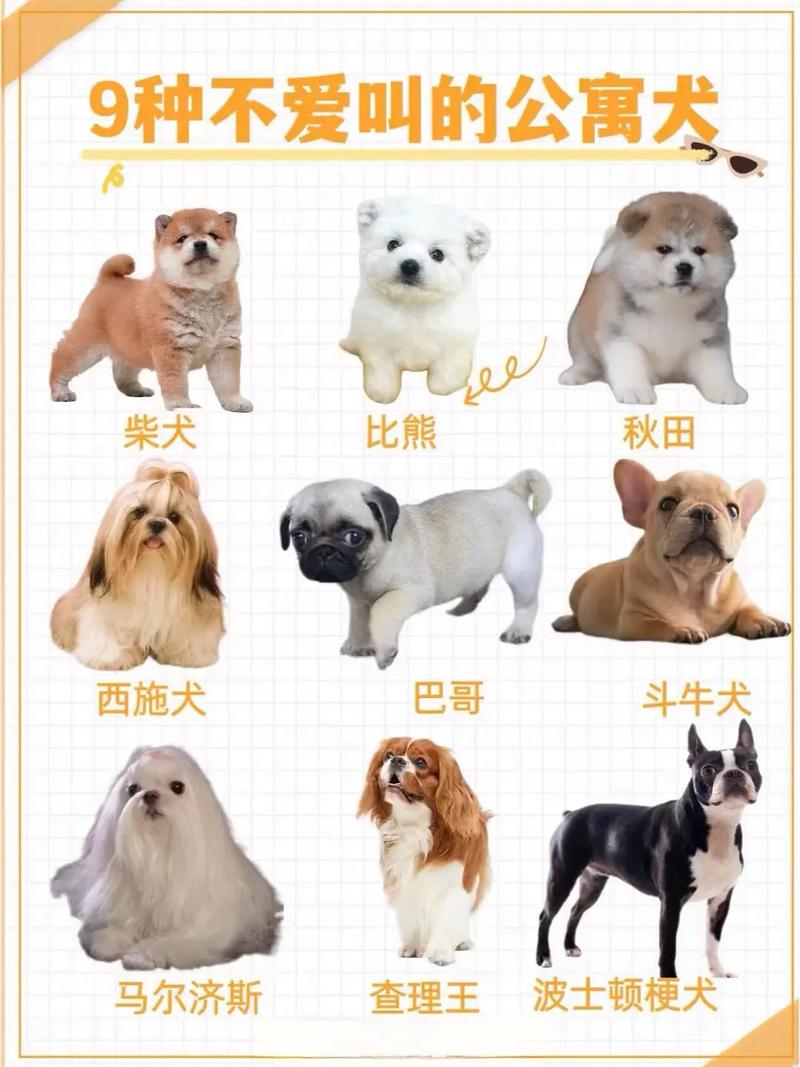 什么狗不爱叫?