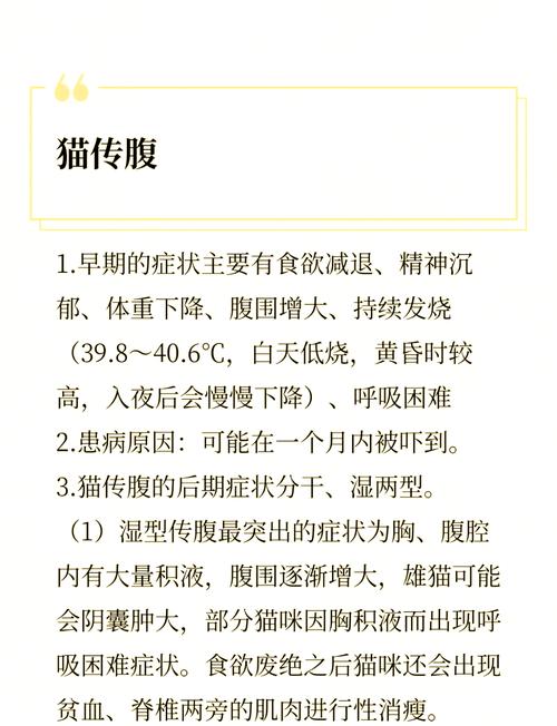 我家小猫猫得了猫传腹怎么办呀?