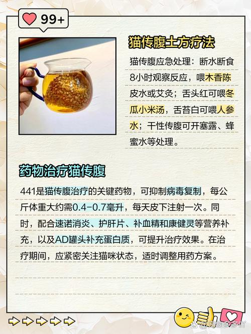 农村土方法治疗猫传腹