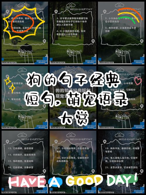 近几天才到家的小黑狗还没有取名字。前几天做同样的梦,是有神人指引...