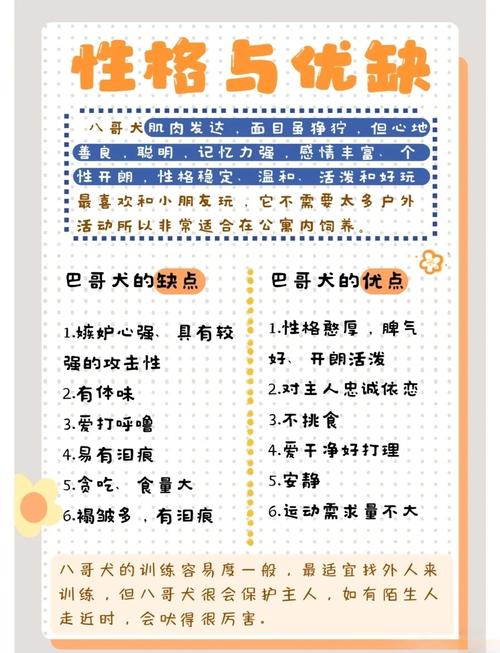 如何鉴别巴哥犬的血统?
