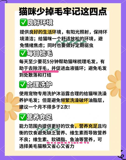 不喂化毛膏对猫咪成长会有什么影响?