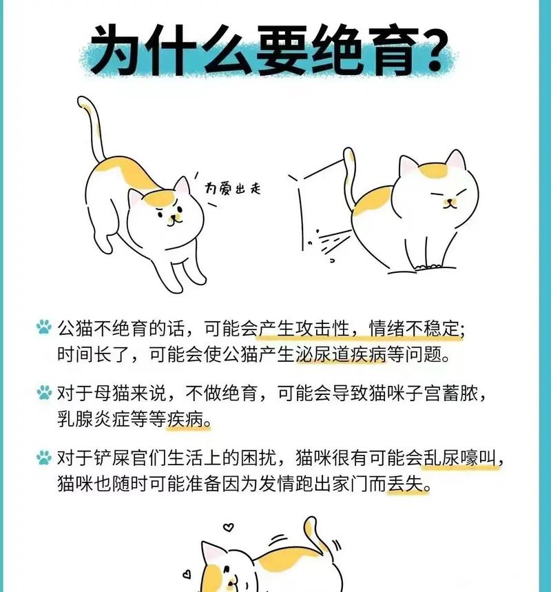 为什么要给猫咪做绝育啊