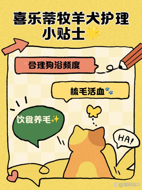 喜乐蒂怎么护理