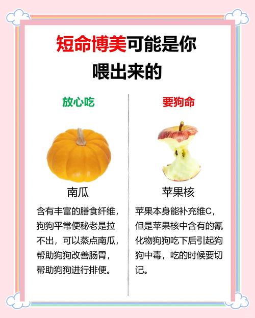 博美多大可以吃成犬粮?