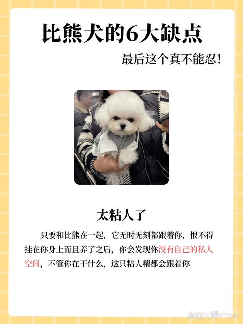 比熊犬的优缺点