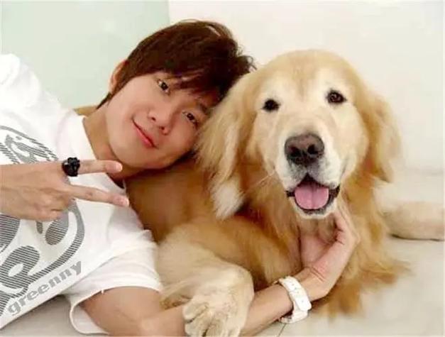 买只黄金猎犬或黄金拉拉得花多少?比较好
幼犬