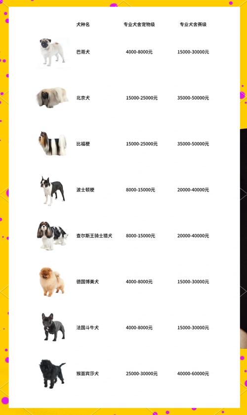 求狗狗报价?