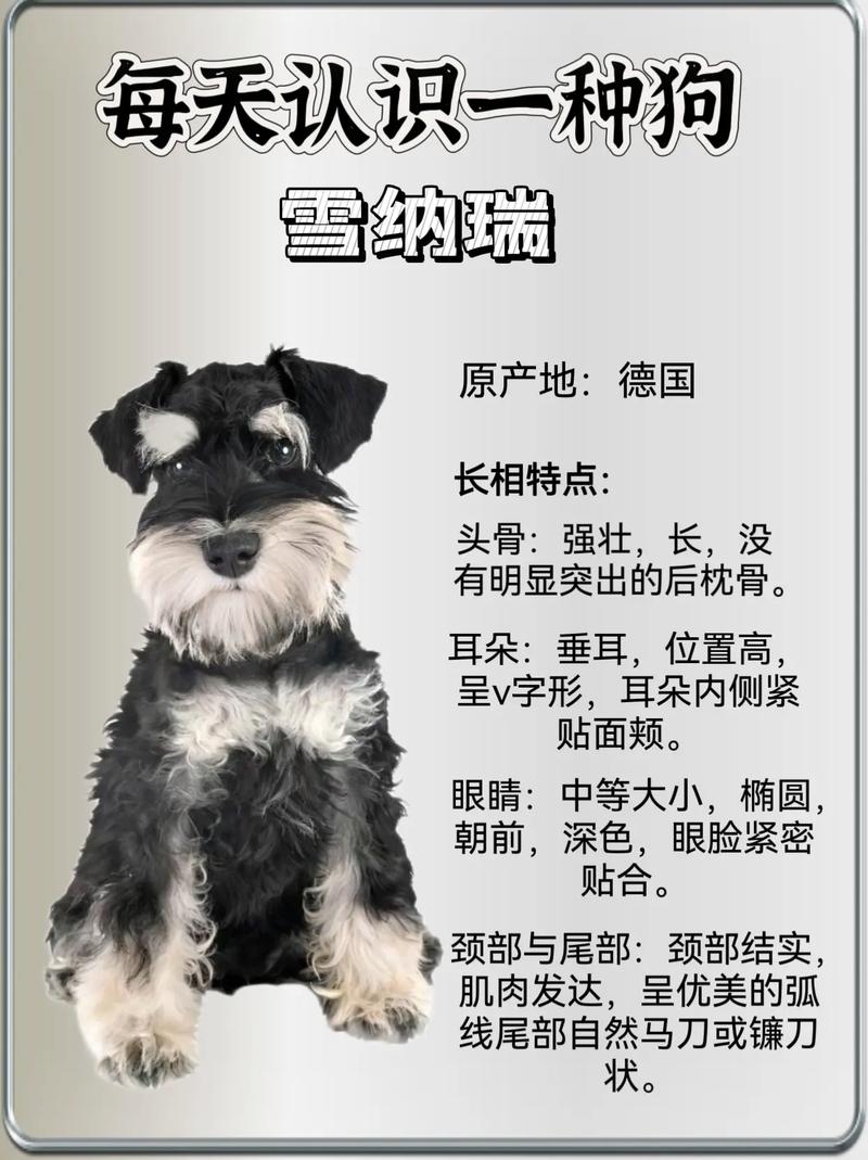 雪娜瑞一天拉3次是否
给吃多了??