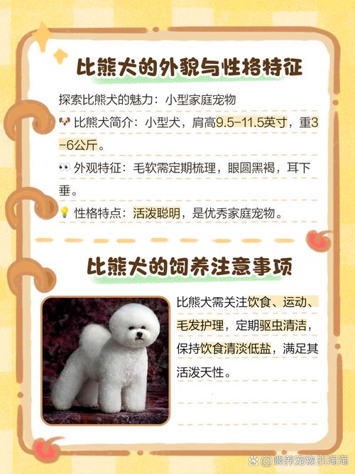 比熊是哪国的品种?