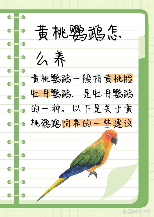 黄桃脸牡丹鹦鹉智商黄桃脸牡丹鹦鹉智商如何