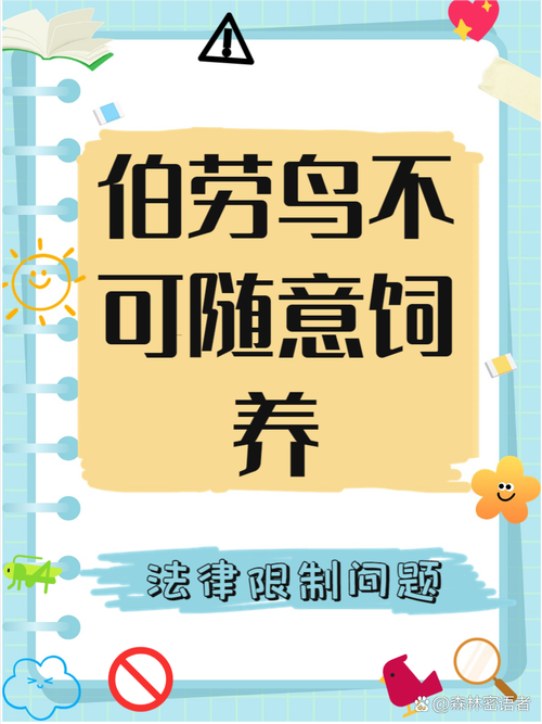 成年伯劳怎么饲养!能养活的机率多大?