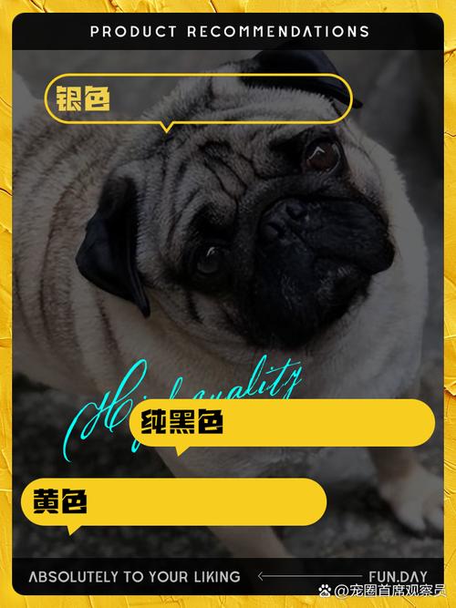 八哥是什么颜色