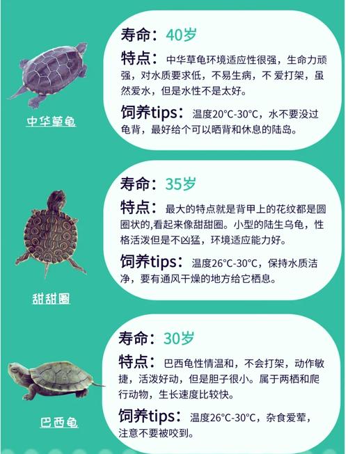 北方适合养什么龟