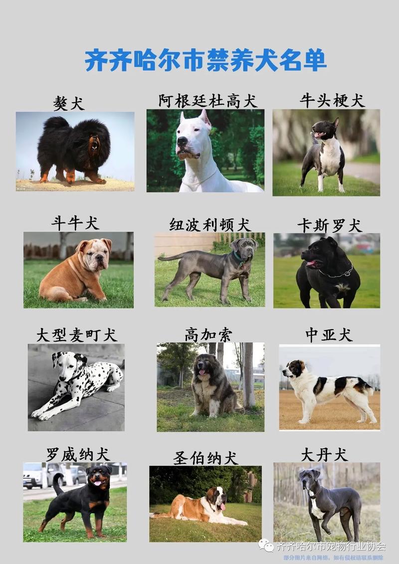 狗有多少品种