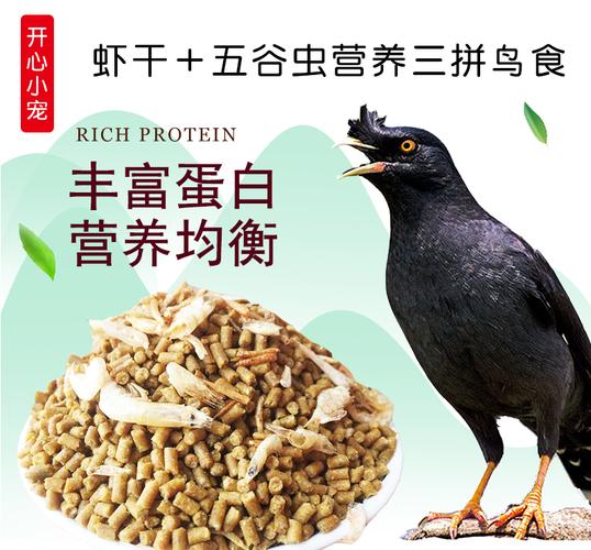 关于八哥饲料应该如何挑选合适的呢?