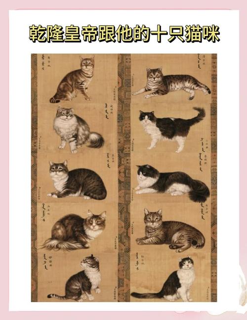 猫是怎样征服古代世界的?