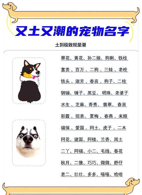 有啥给土狗取的特别吉利又顺口的名字