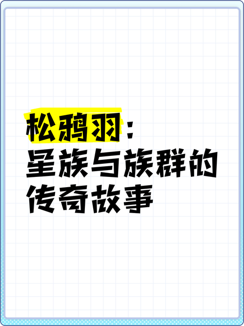 松鸦羽的介绍