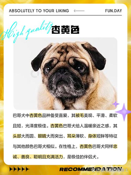八哥犬有几种