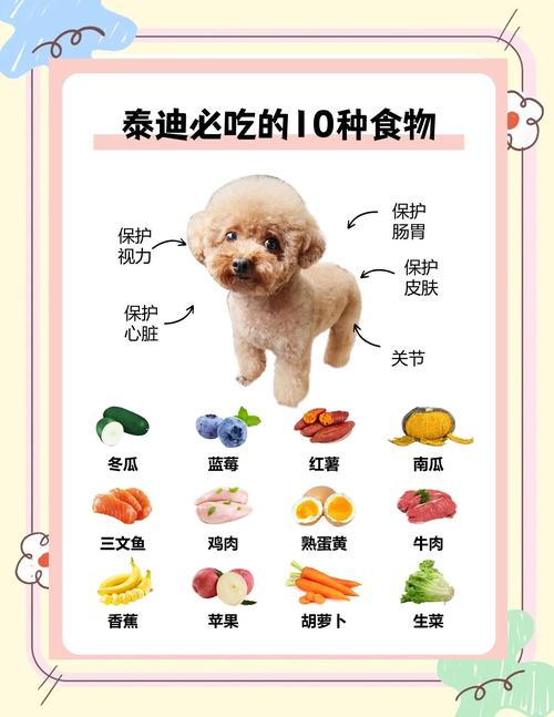 贵宾犬能吃什么